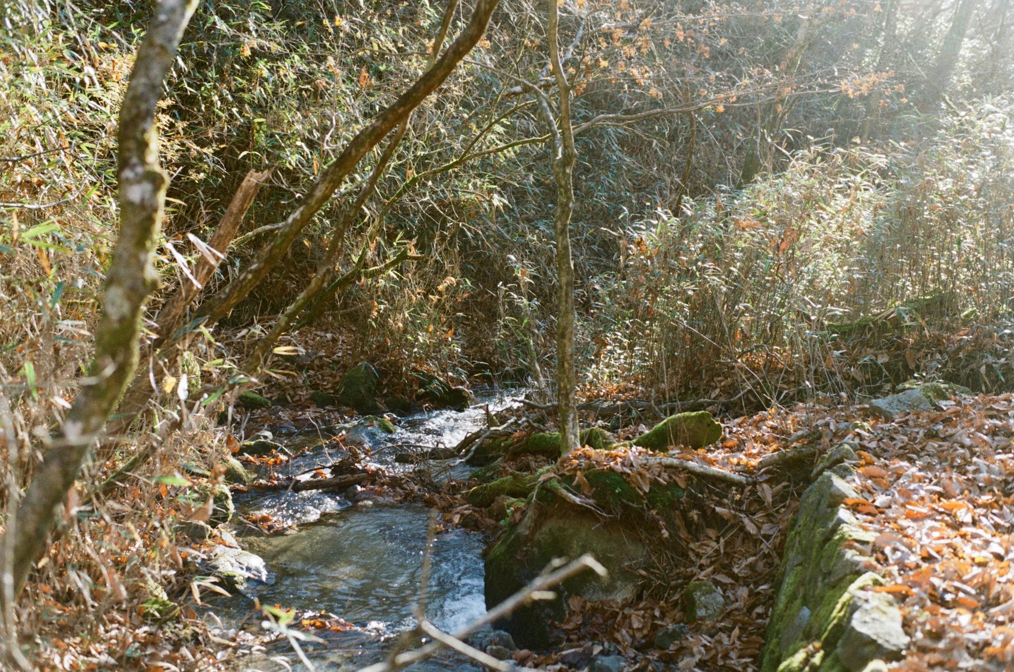 landscape_pattern1
