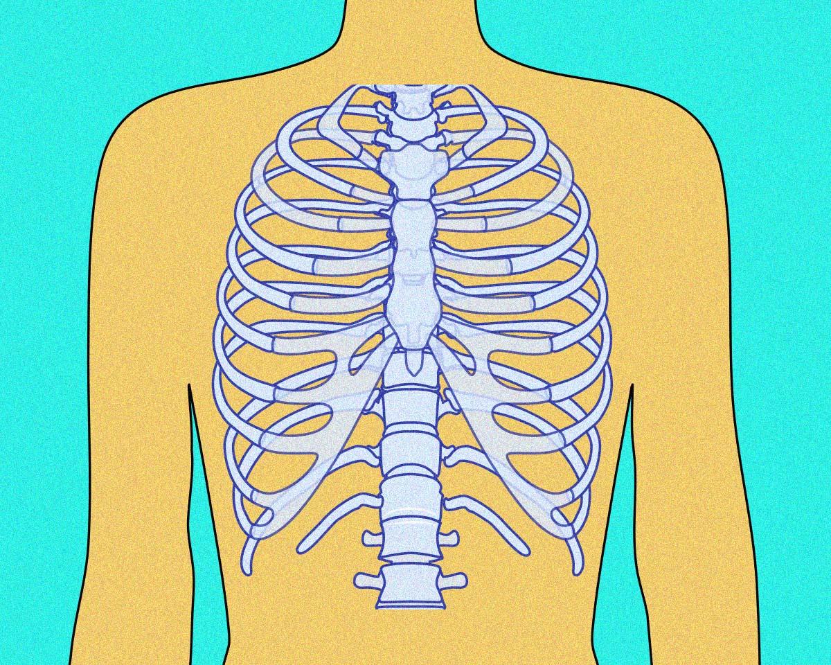 猫背や呼吸の浅さは、“胸郭リセット法”で改善しよう。