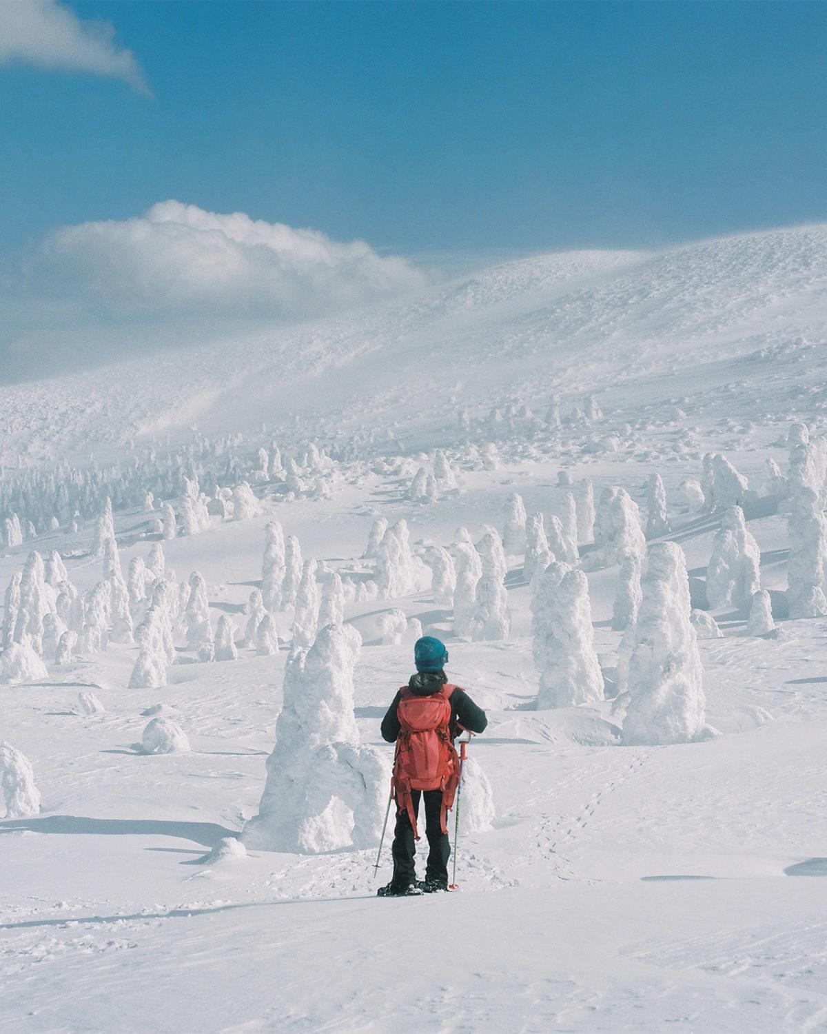 写真家が選ぶ今月の山