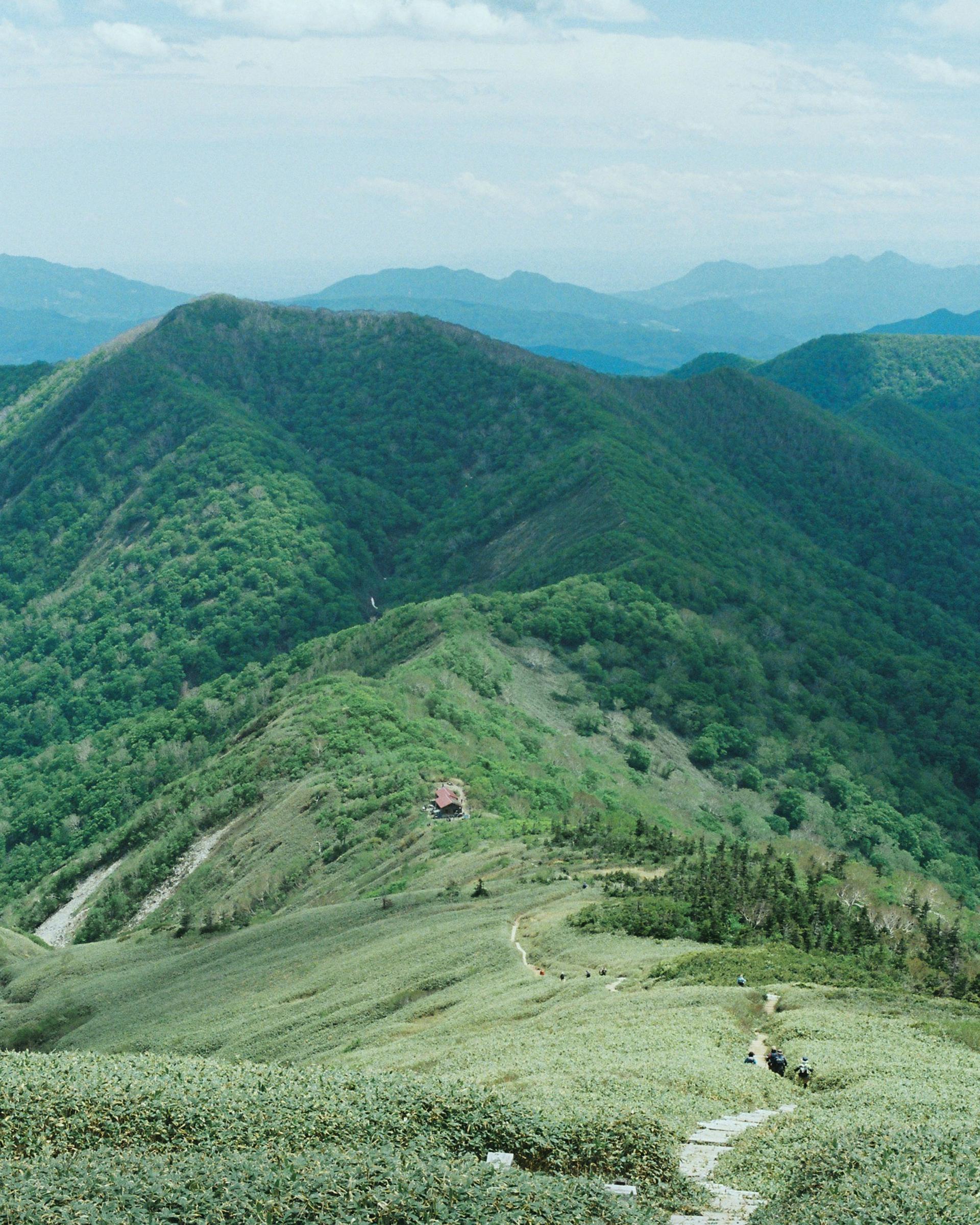 平標山の山肌