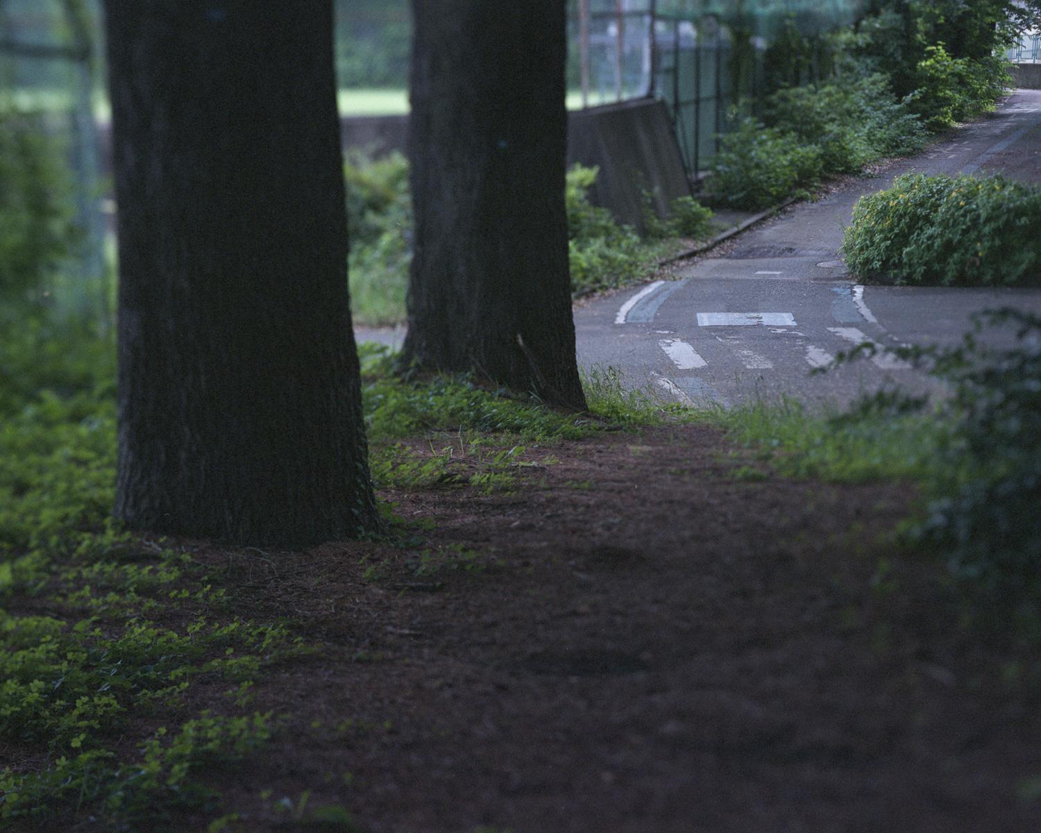 「命はうんこで生まれ、野糞と土葬で循環する」文・伊沢正名｜A Small Essay