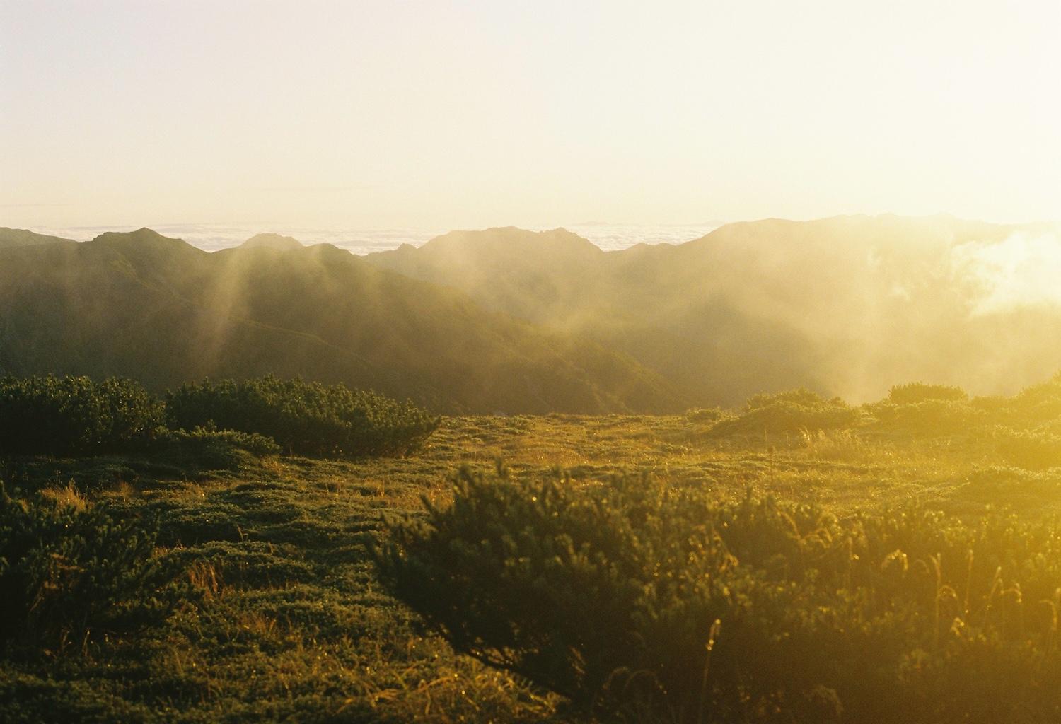 landscape_pattern2