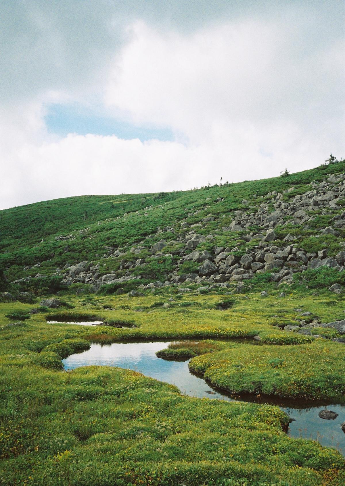 landscape_pattern1