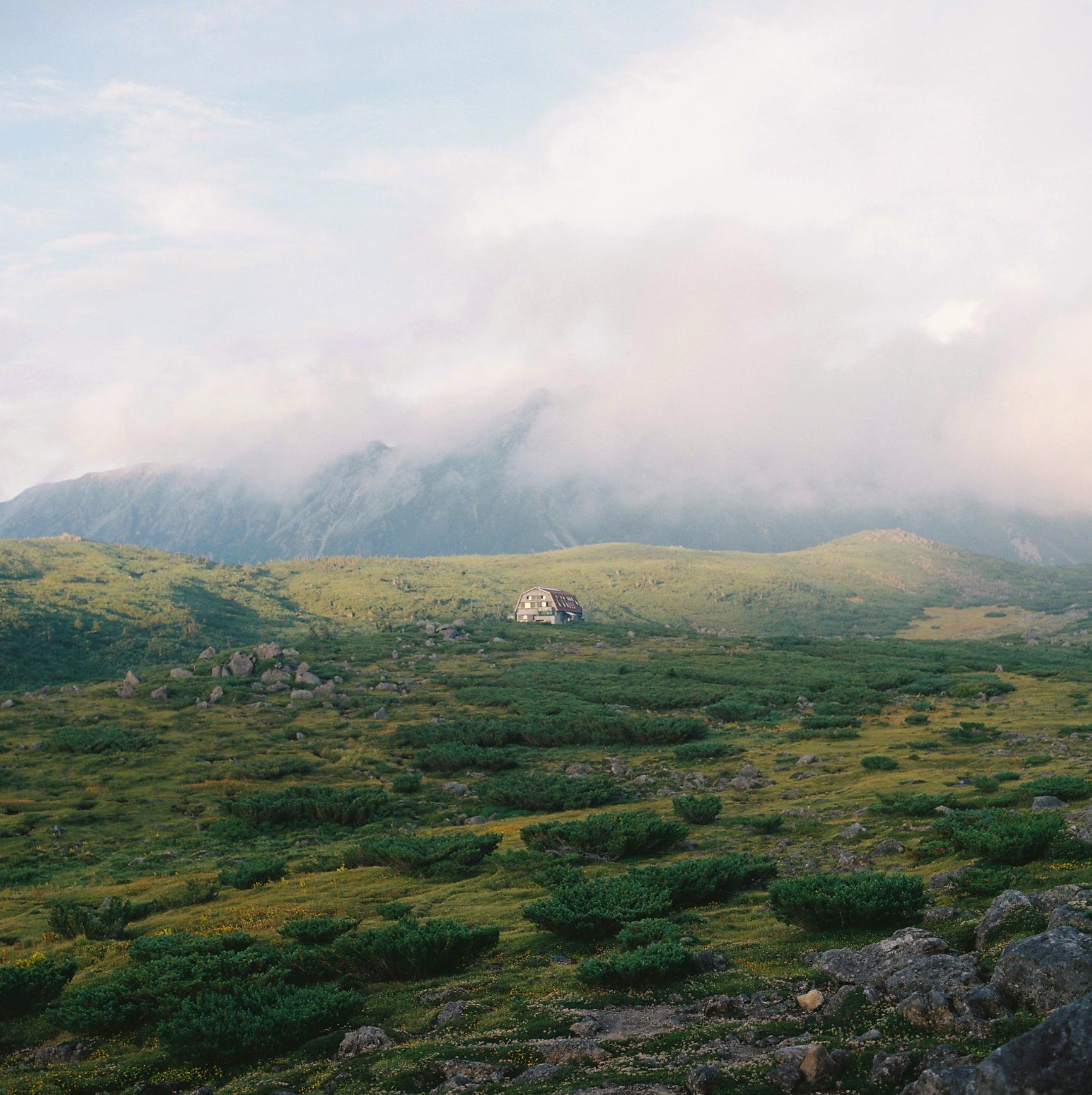 landscape_pattern1