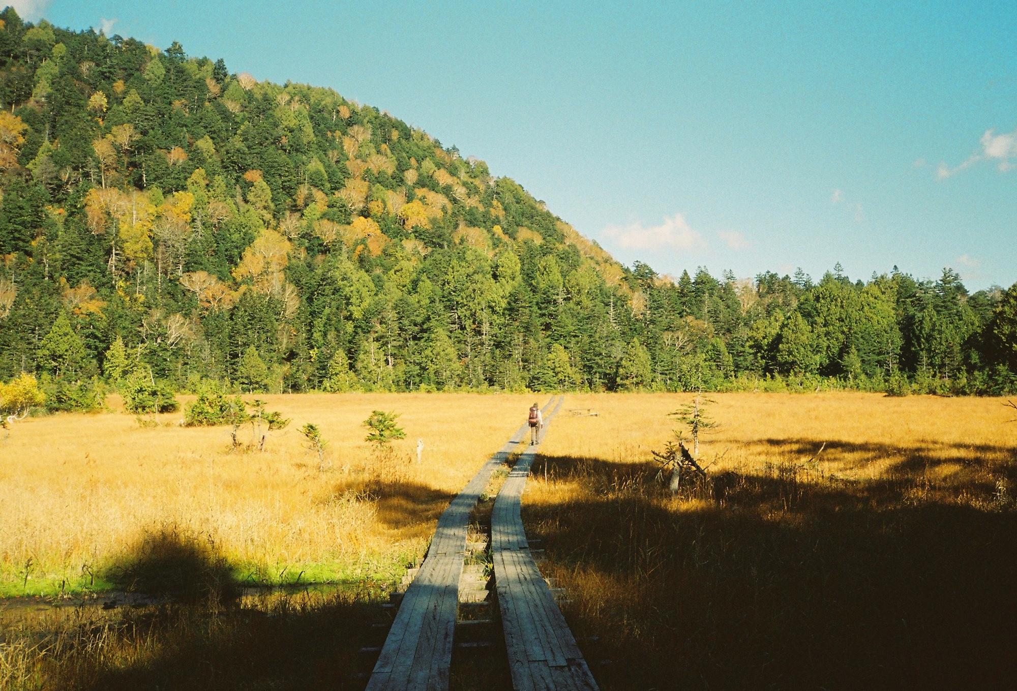 landscape_pattern1