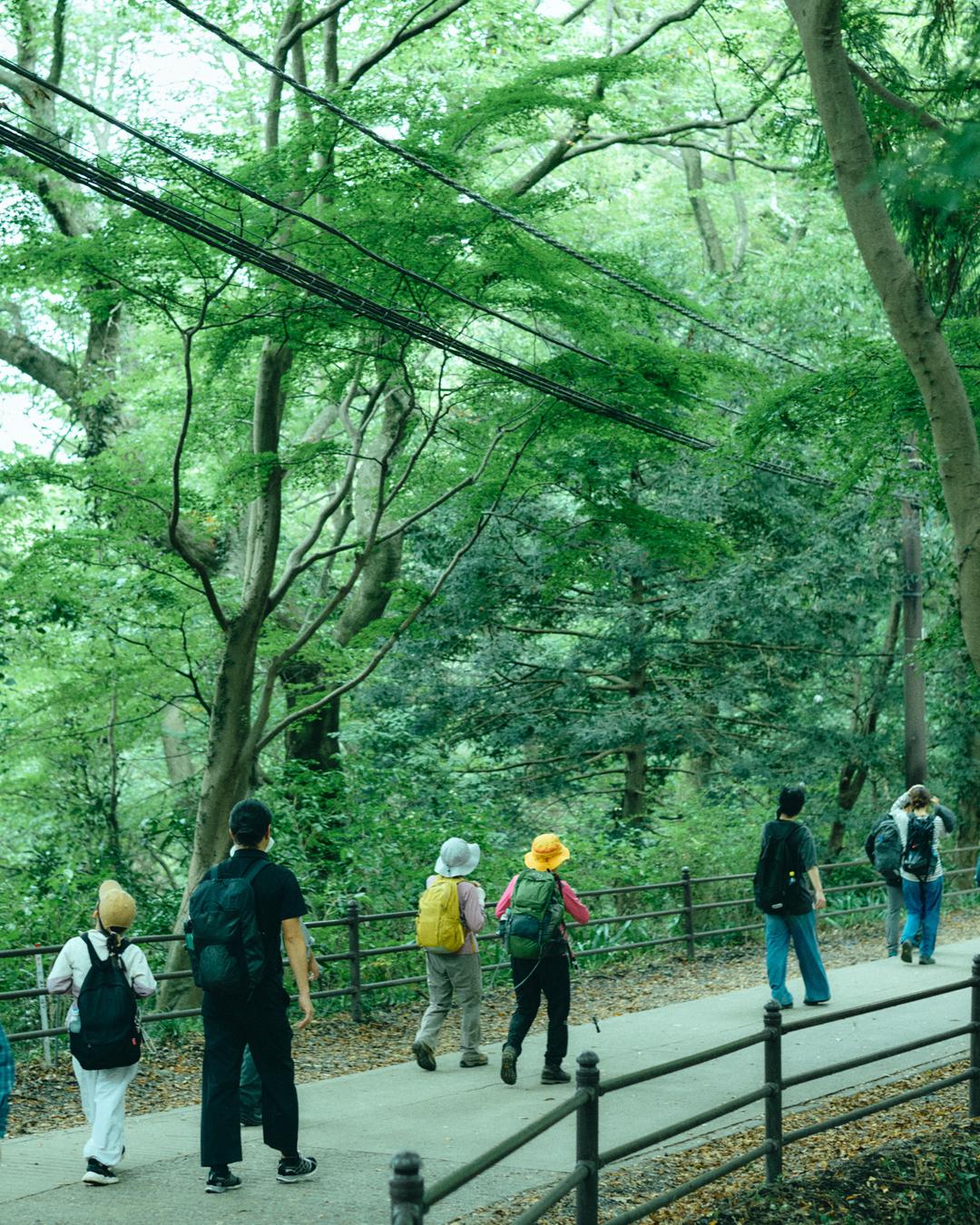 10:00 a.m. at Mt.Takao