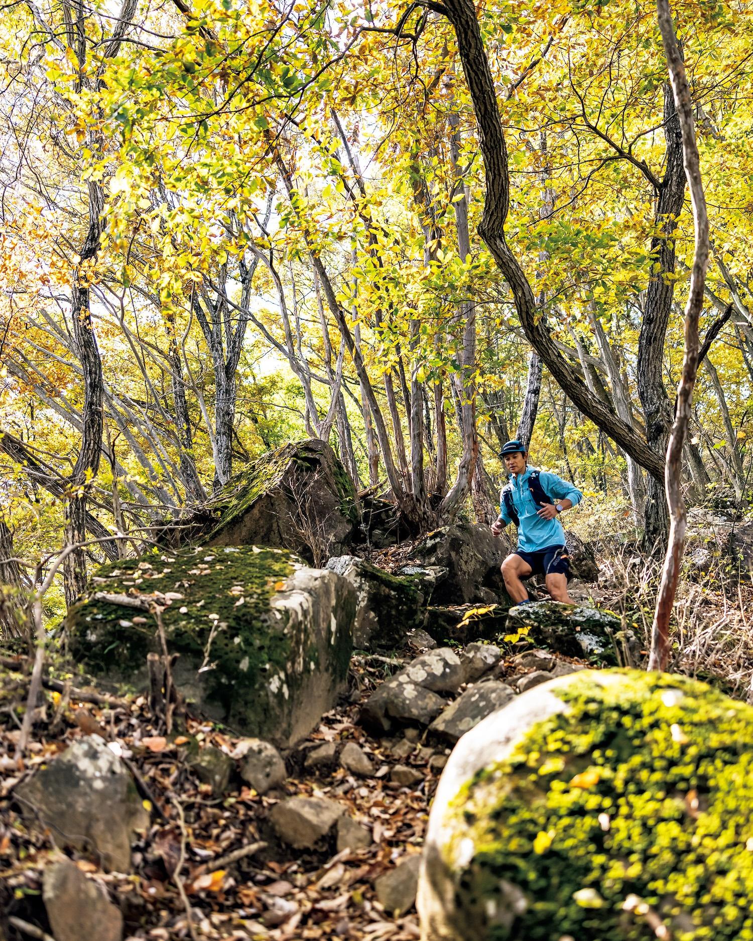 ウチサカさんのトレイル案内。山梨県［高川山からむすび山。］