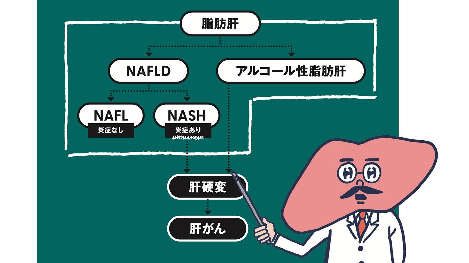 脂肪肝が引き金となる疾病