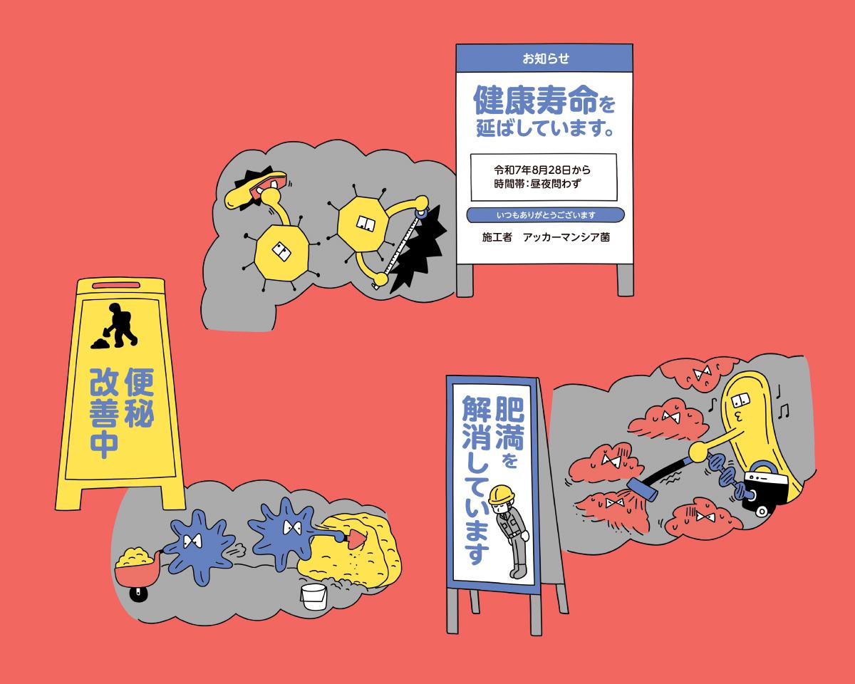 腸内細菌のありがたすぎる5つの仕事