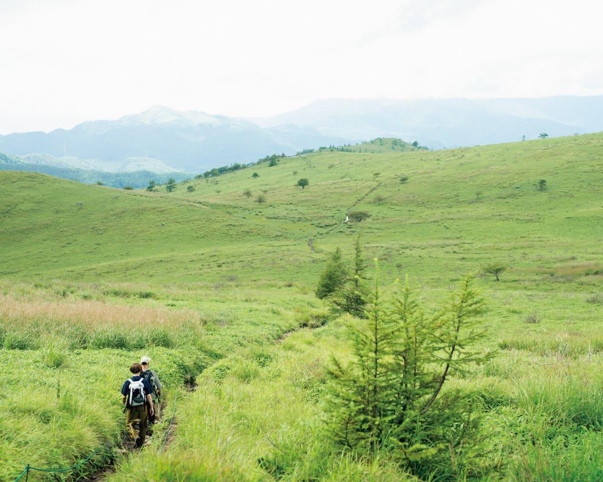 おおらかな高原をどこまでも。 霧ヶ峰でピクニック・ハイクをしよう。