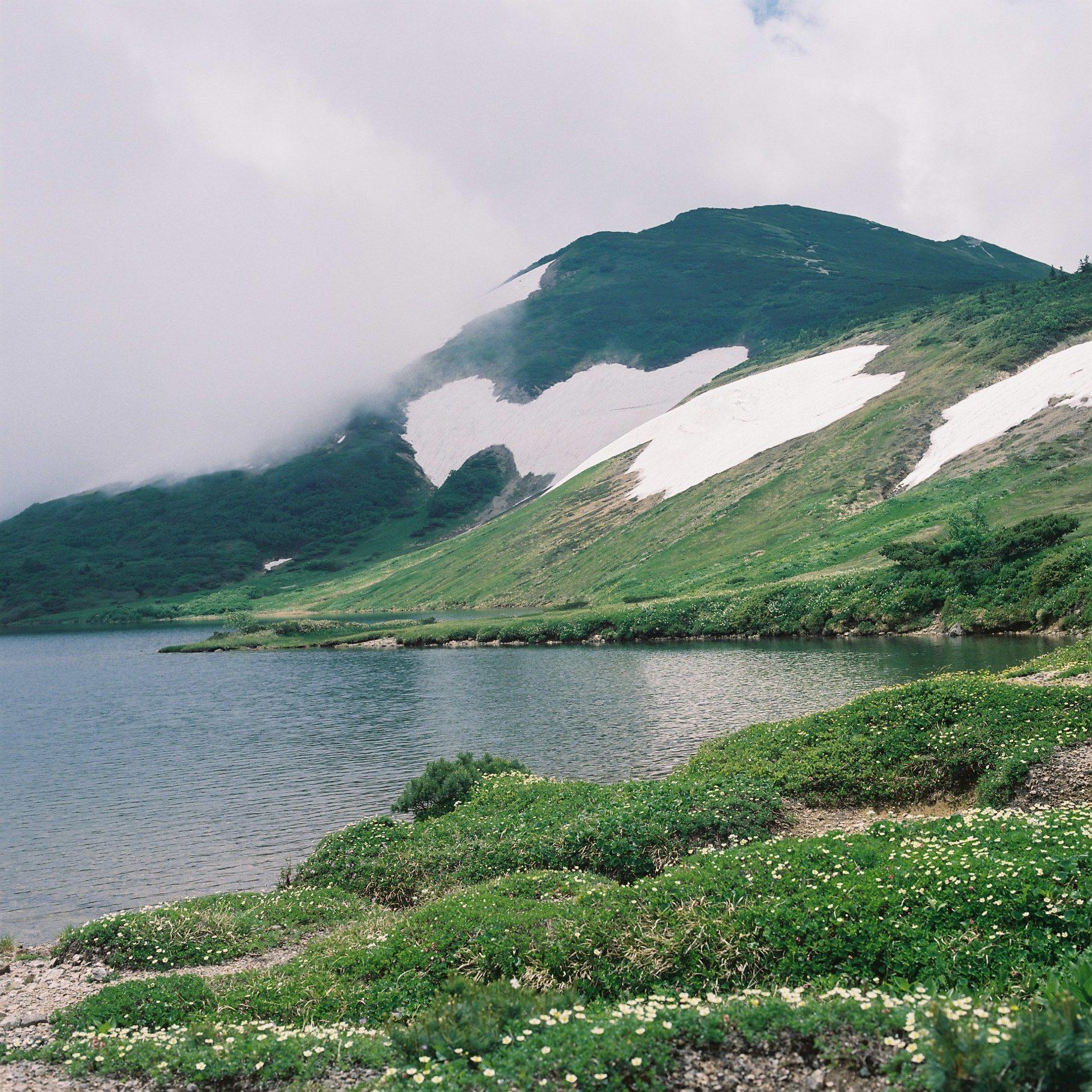 landscape_pattern1