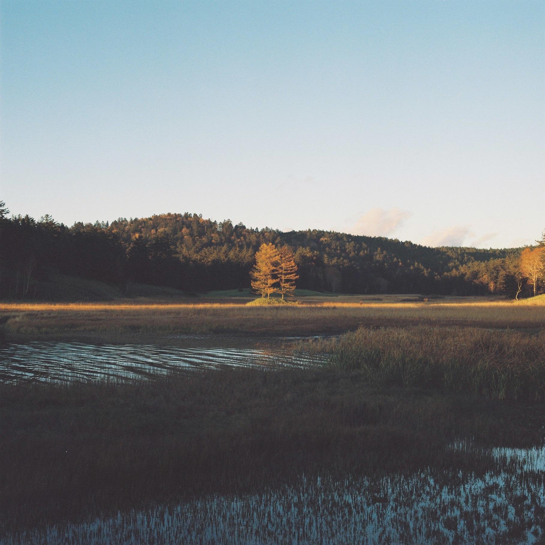 landscape_pattern4