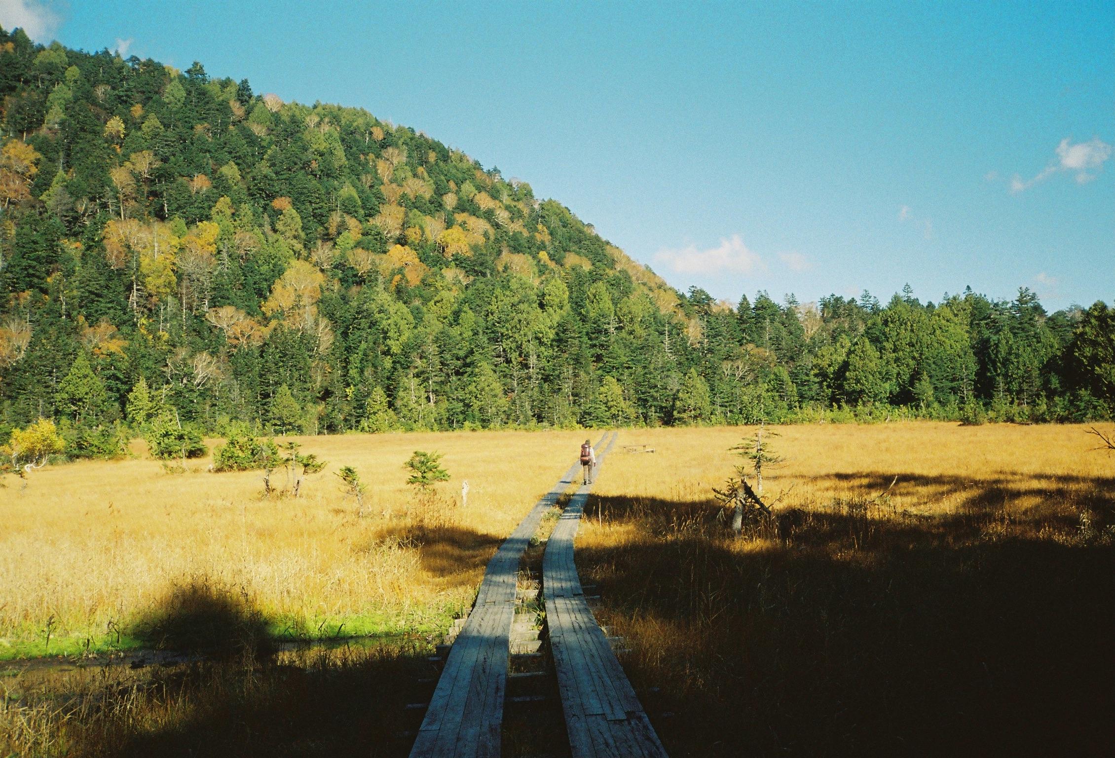 landscape_pattern1