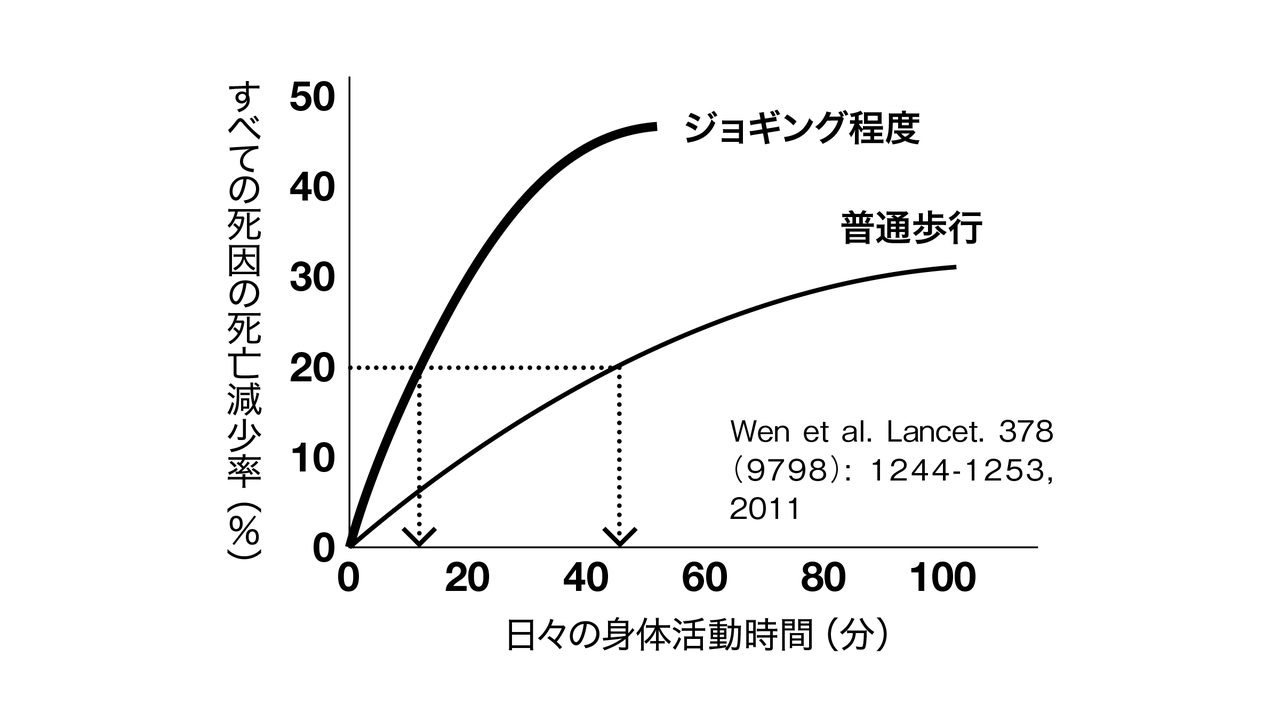 LSDランは脳や食欲にも作用する！ 脂肪燃焼にとどまらない16の効能を 