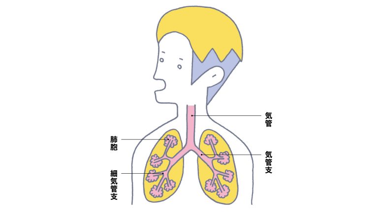 深い呼吸 を身につけ不調を改善 Nikkei Style