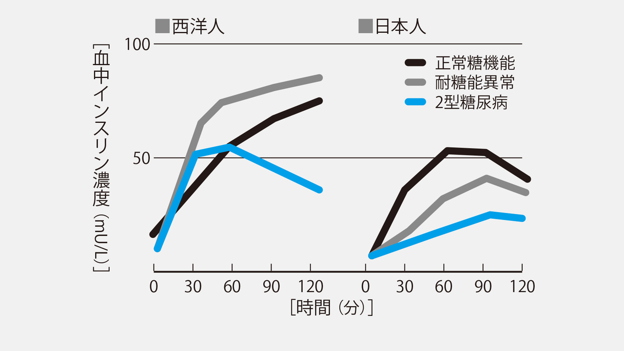 西洋人と日本人のインスリン分泌能を示すグラフ