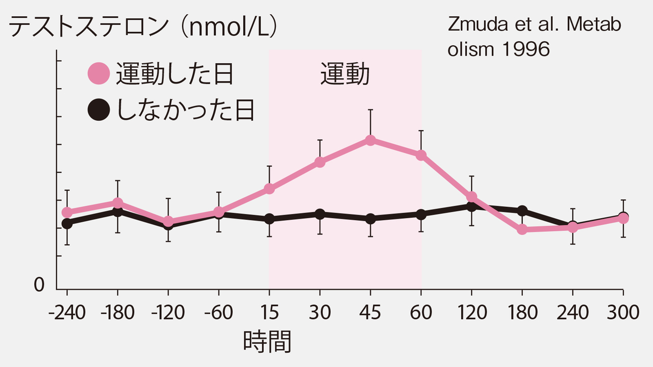 夢精 テストステロン