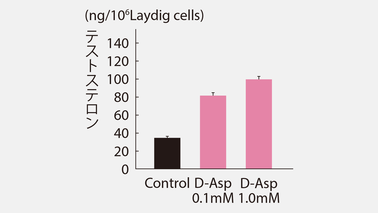 D-アスパラギン酸を投与した時のテストステロン値の変化