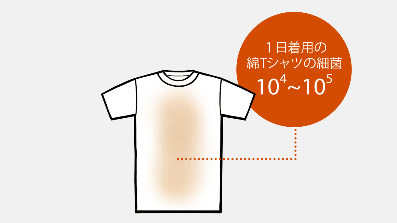 1日着用した綿のTシャツ1g中には1万個から10万個の菌が棲んでいることも