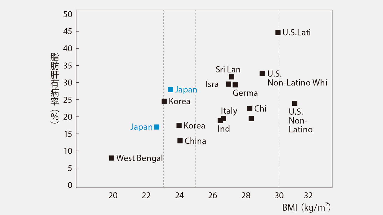 【グラフ】太らなくても、いともたやすく脂肪肝になる日本人