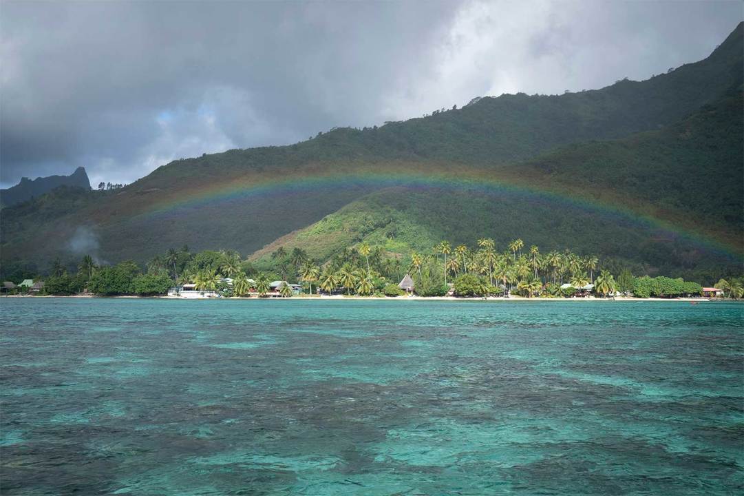 モーレア島では途中雨にも見舞われたが、しばらくすると虹が出た。完璧すぎる。