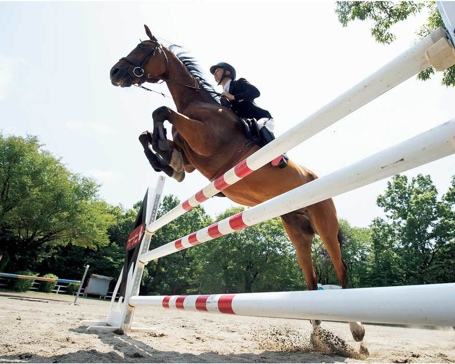 多くの人が馬と触れ合えるようになるように」障害馬術・広田龍馬、広田思乃