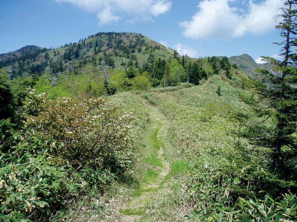 ぐんま県境稜線トレイル