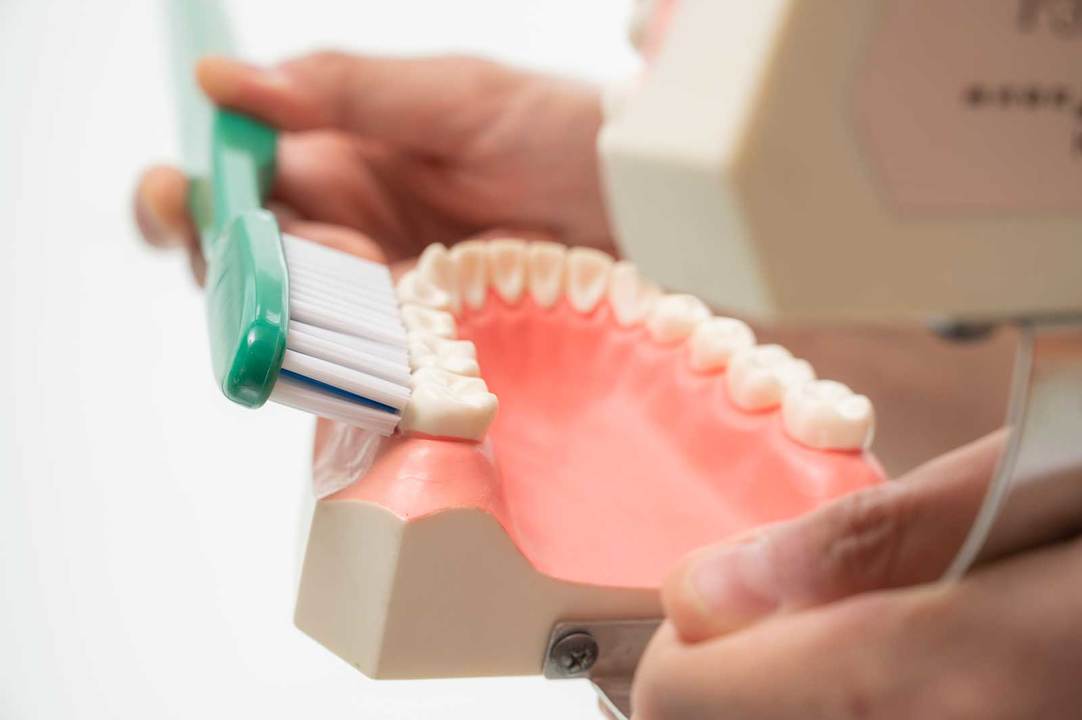 歯の表面に90°で当てて、細かく左右に動かすスクラビング法は、面を効率よく磨ける。