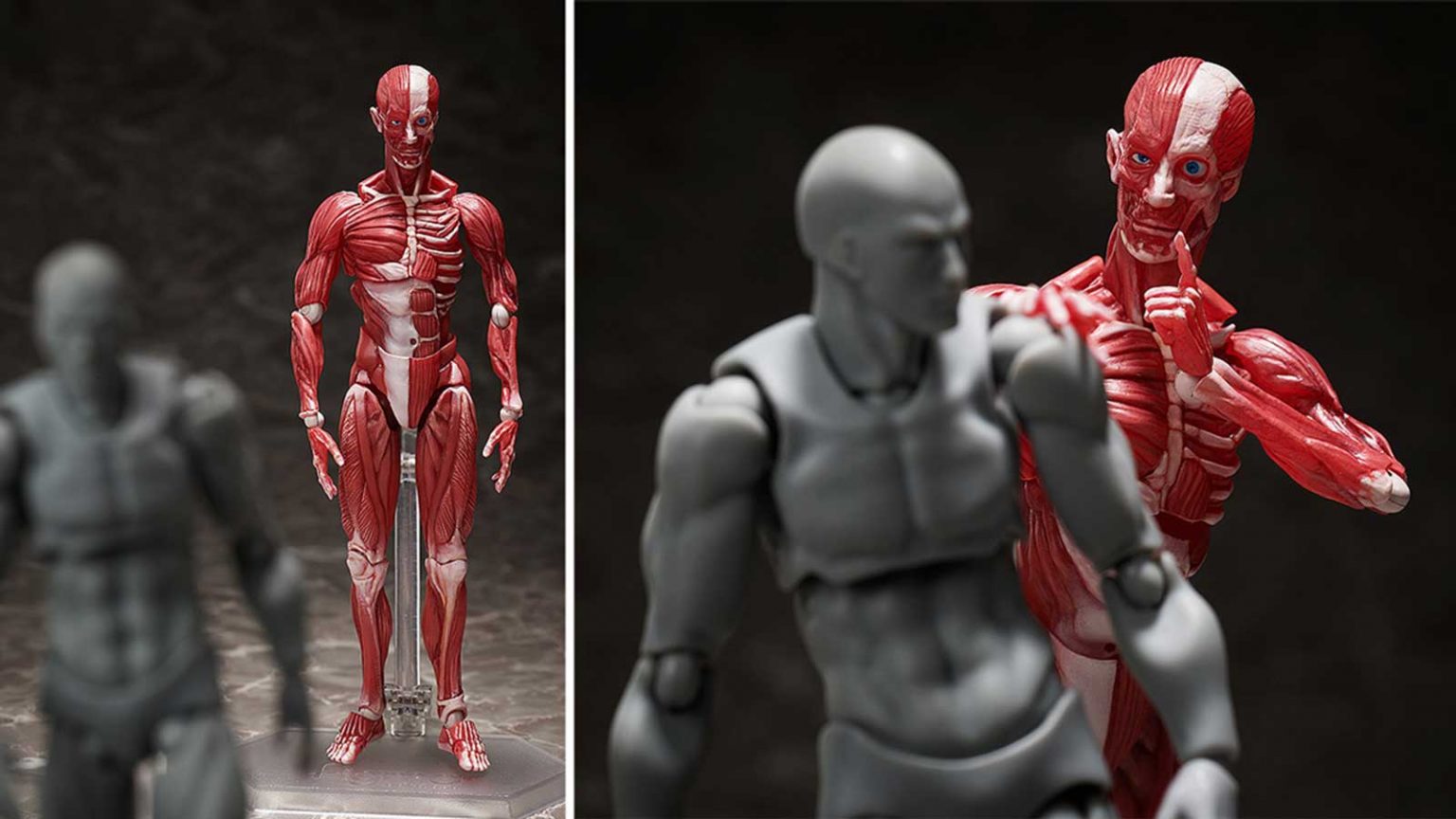 TZA_News_figma_main-1536x864.jpg