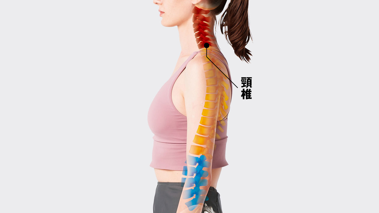 頚椎の位置