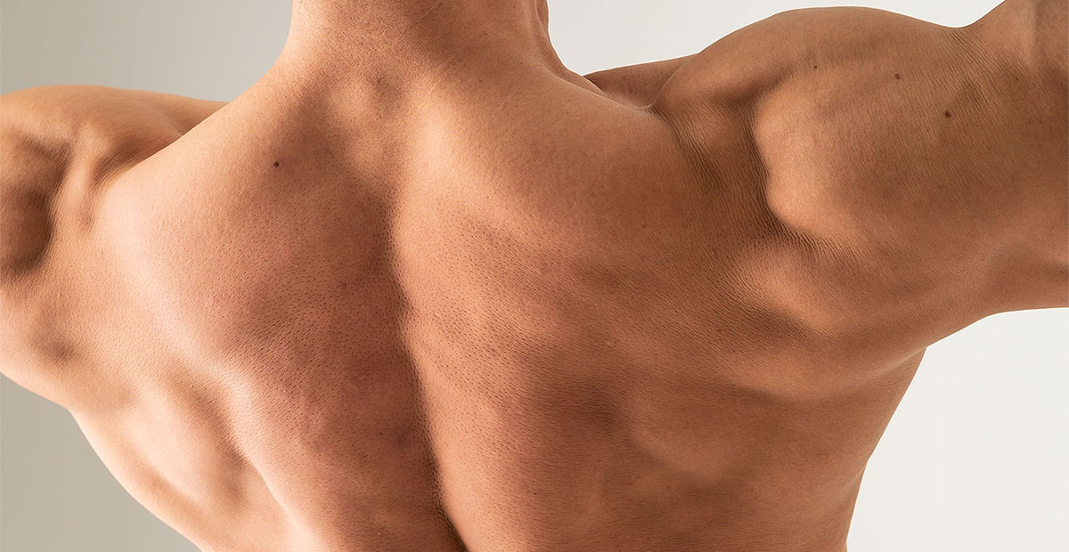 筋肉図鑑 連載 Tarzan Web ターザンウェブ