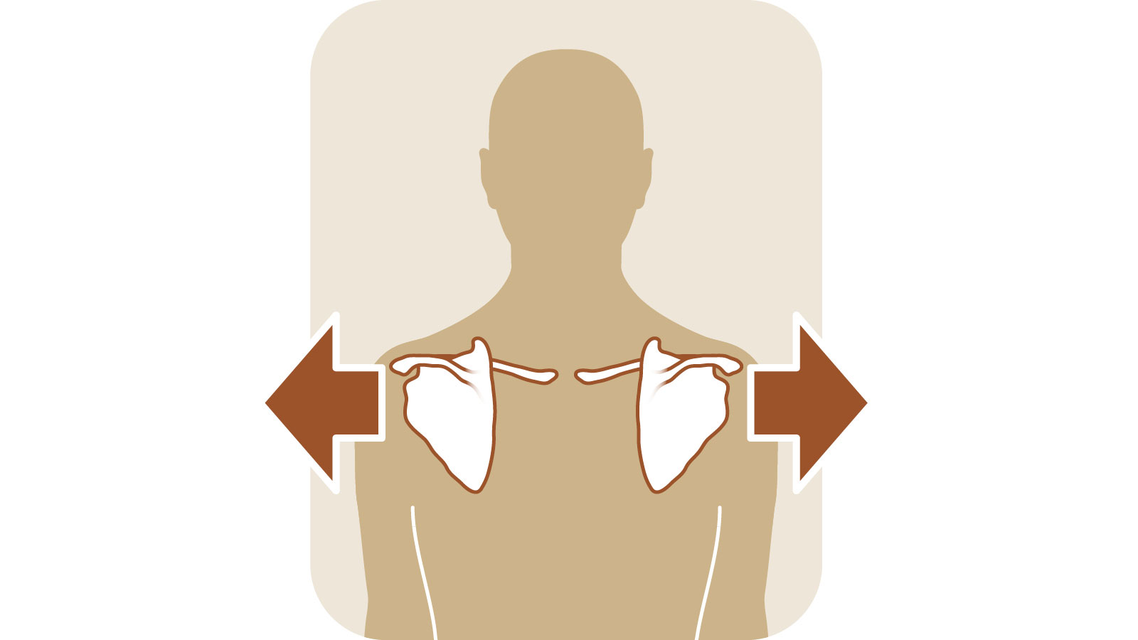 肩甲骨の動きと役割