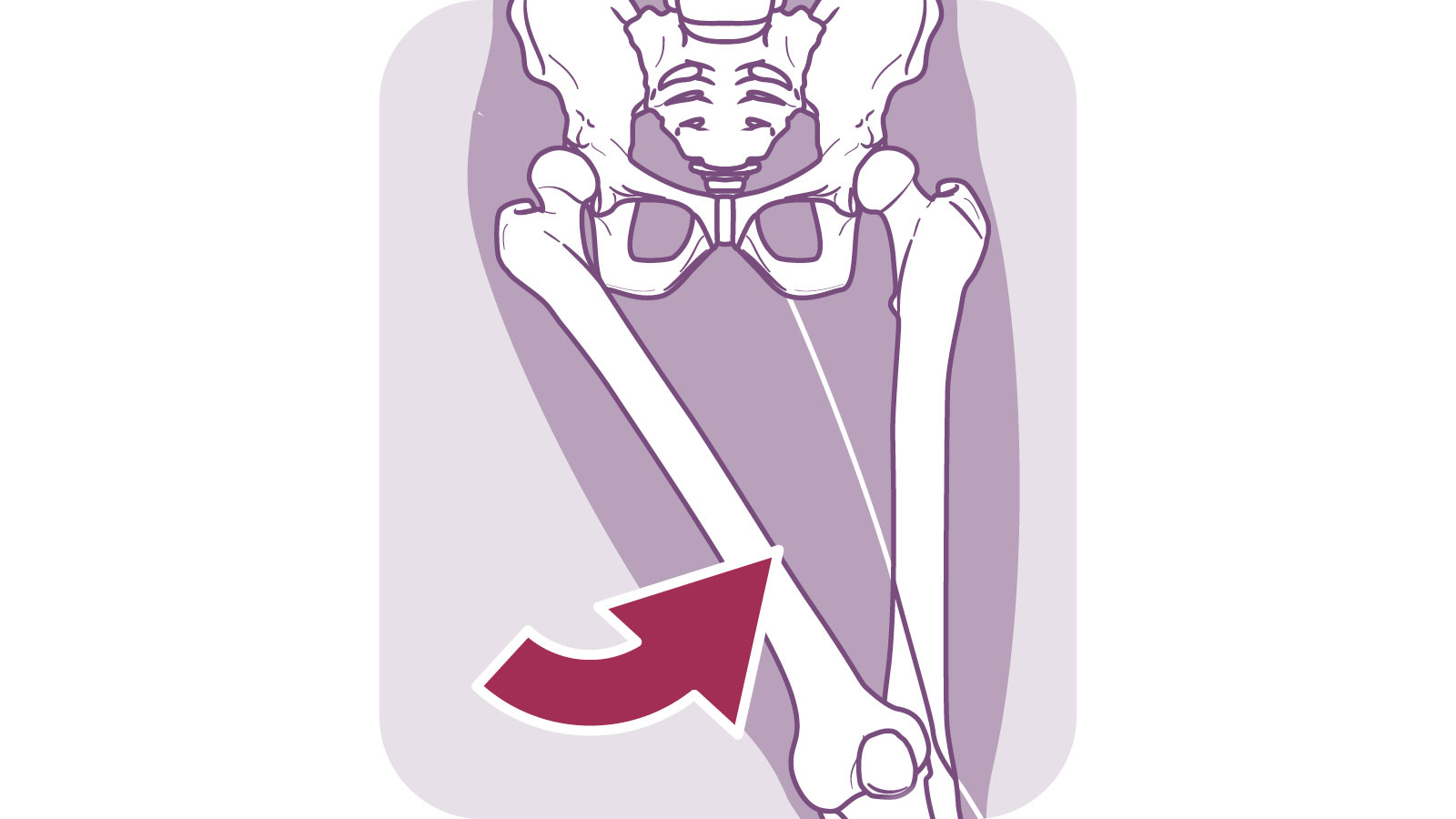 股関節の動きと役割 人体図