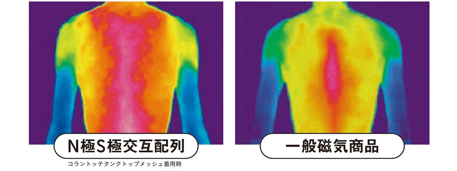 サーモグラフィを使ったN極S極交互配列商品の着用時と同極配列商品の着用時の体温上昇範囲の比較