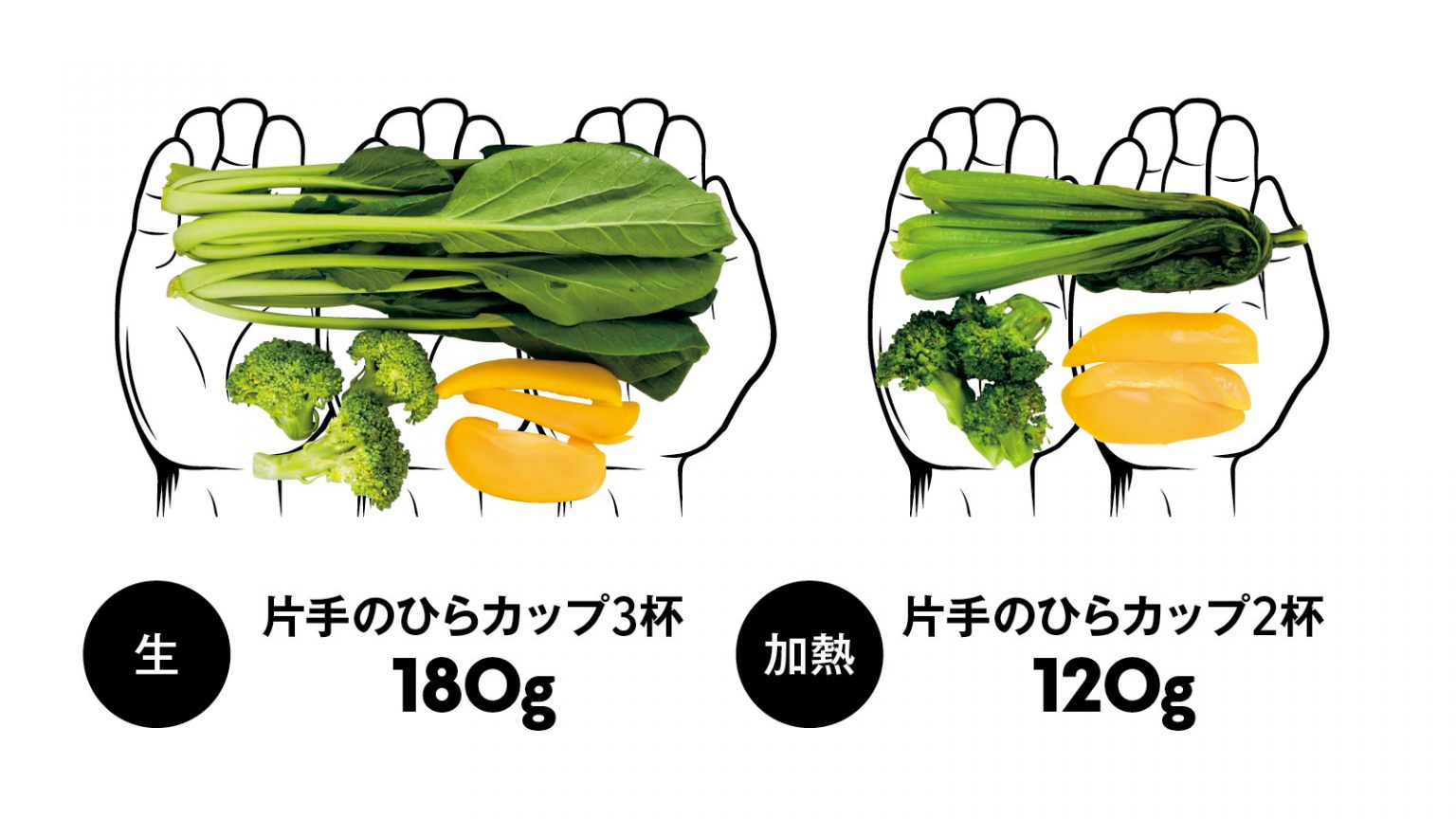 食べるべき量を可視化。健康的に痩せるための「手ばかり」