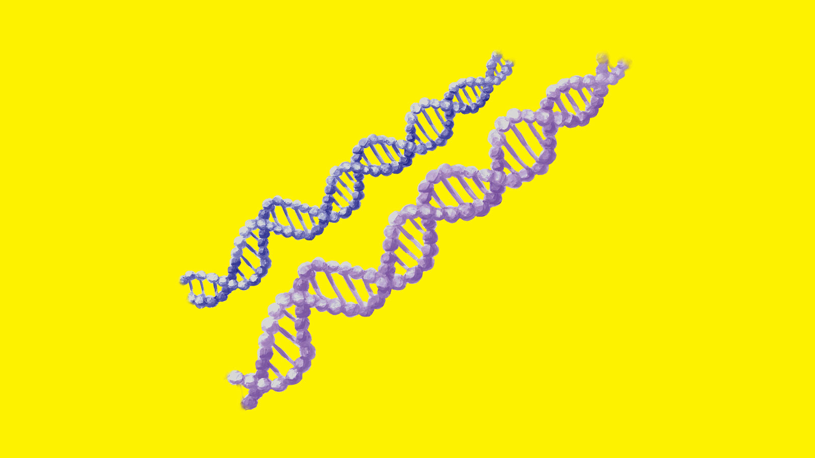 勘違い⑦ 人の遺伝子は人それぞれで大きく違う？