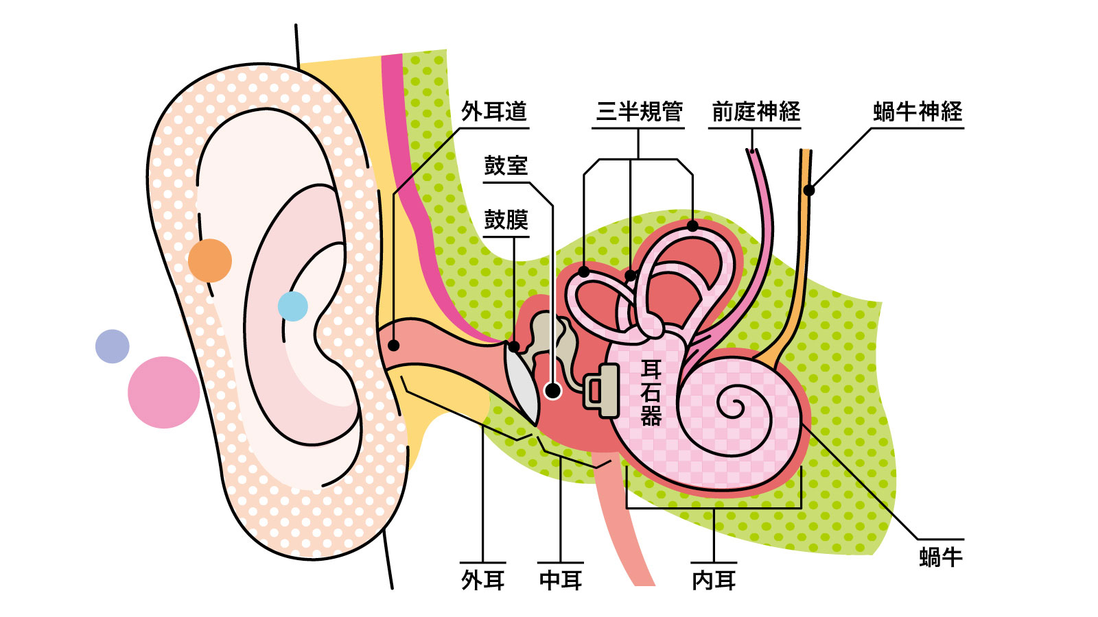 難聴の症状は何ですか?