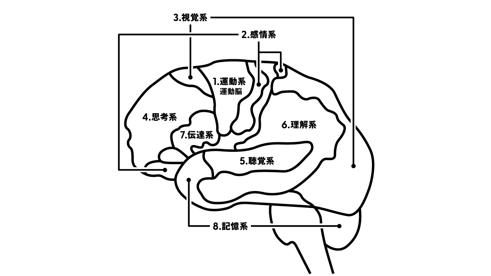 8つの脳番地とその位置