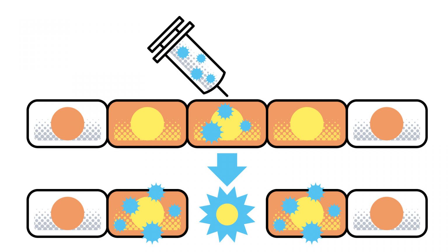 がんと診断されたら? 知っておきたい「がん治療」の今