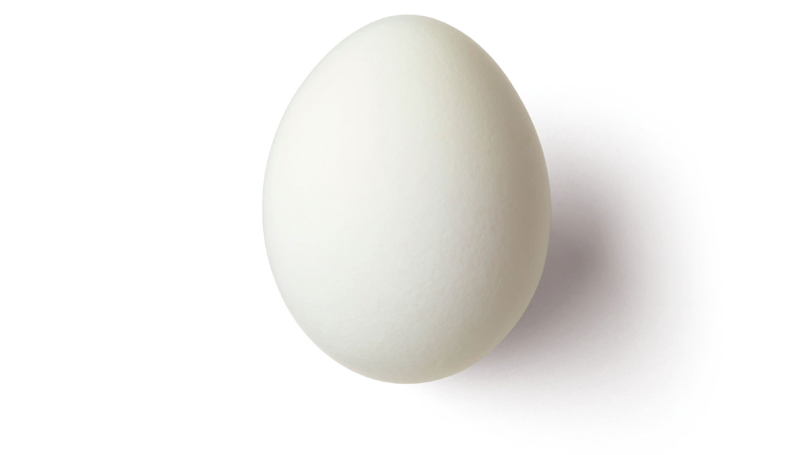 卵1個 タンパク質量
