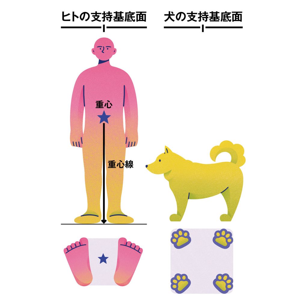 身体のラインと姿勢 重心 – 【徹底比較】猫背矯正ベルトのおすすめ人気ランキング【2025年】 – JDVRBV