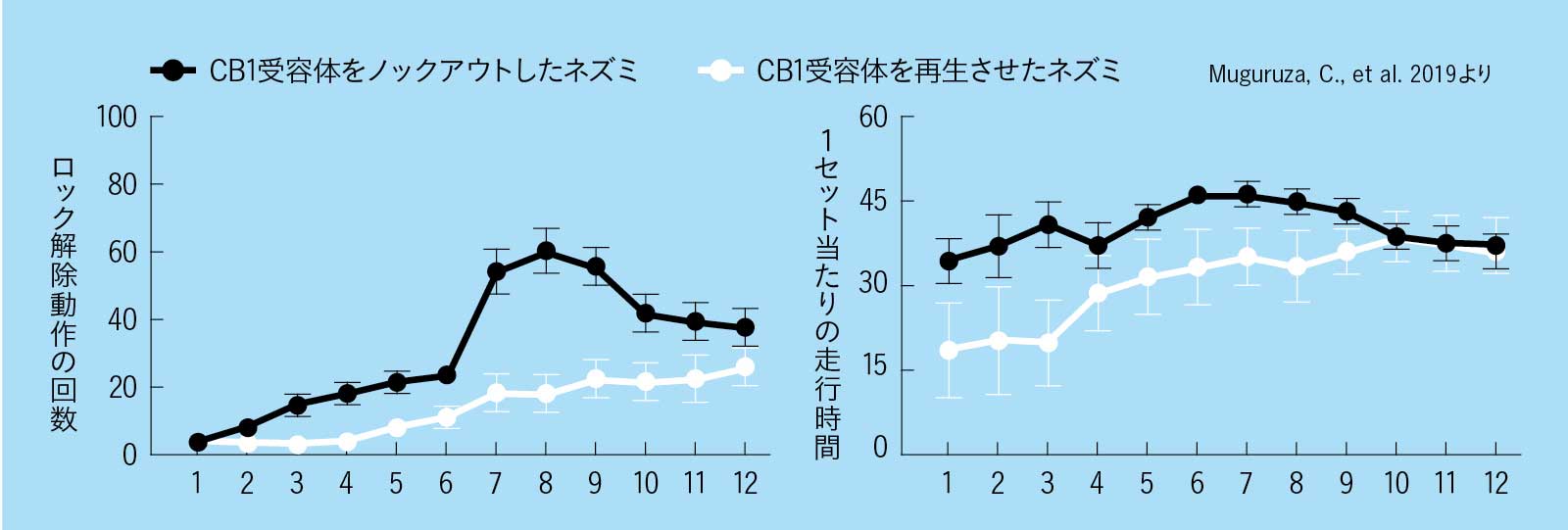 CB1受容体の働きで、ネズミのやる気が2倍に! グラフ