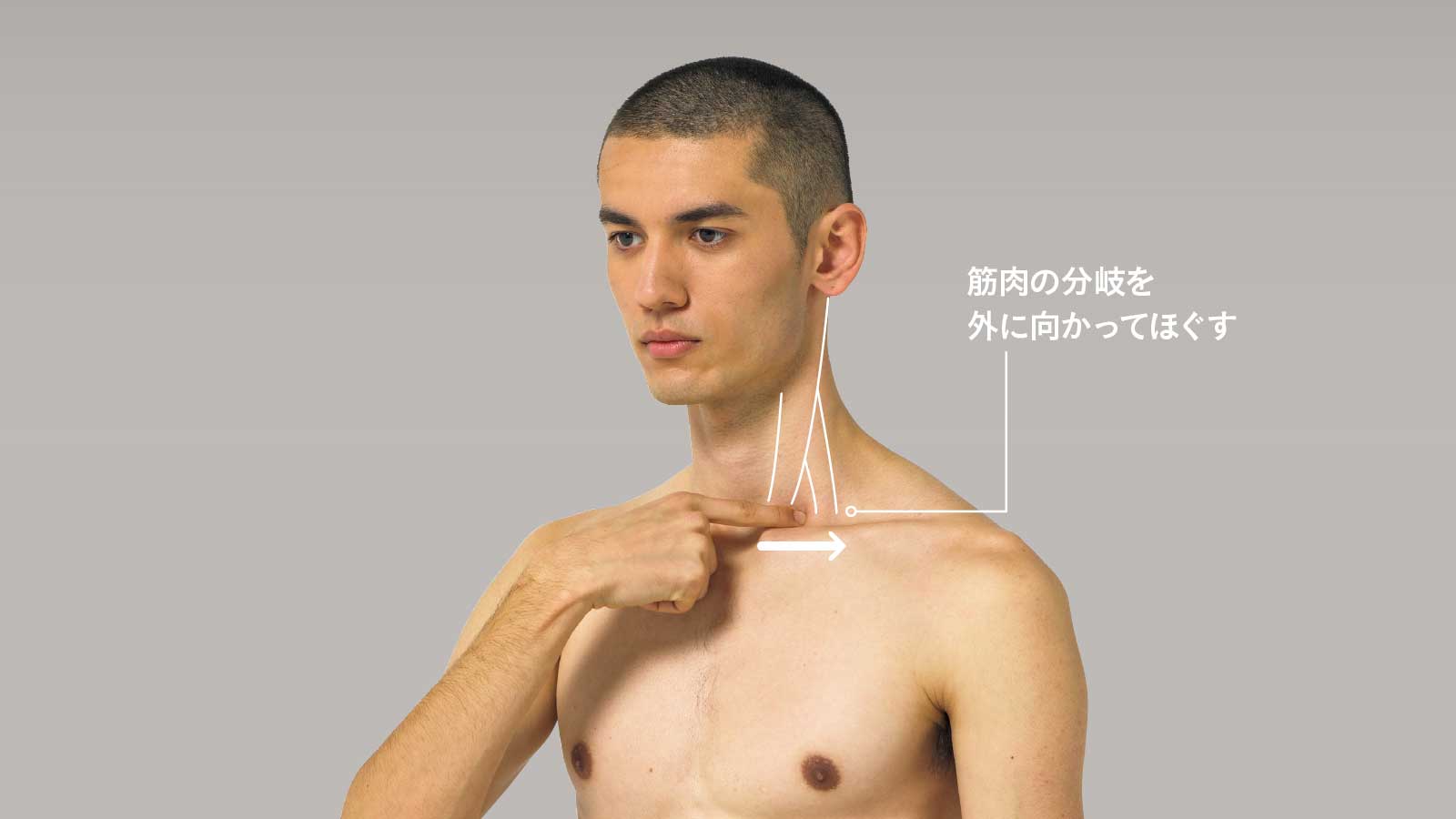 胸鎖乳突筋の付着部をほぐす 筋膜セラピー 理学療法士 半田 学さん