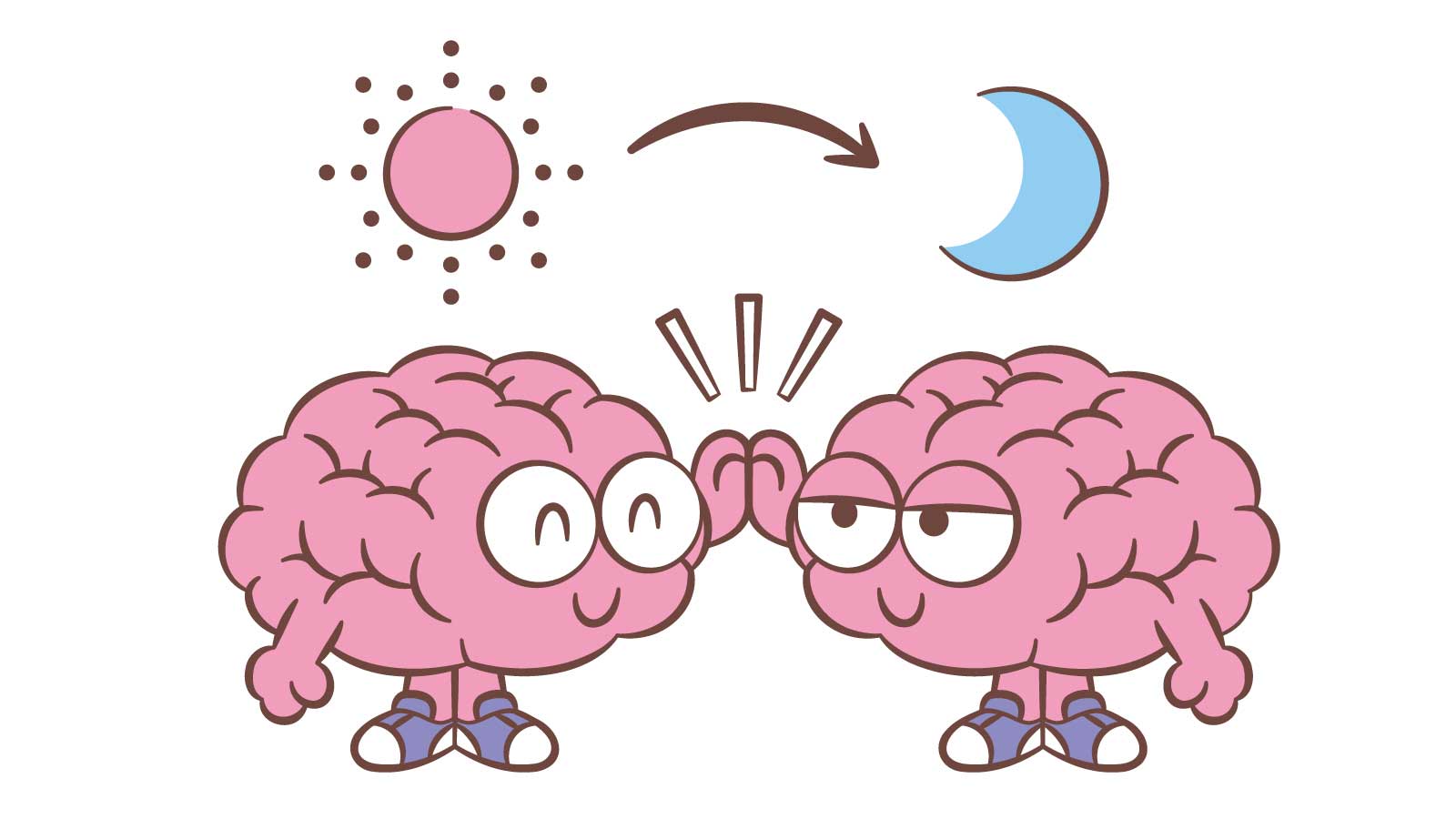 脳科学者 篠原菊紀先生 脳の働きが良くなる朝の行動 脳が朝型／夜型に切り替わるのはいつ？