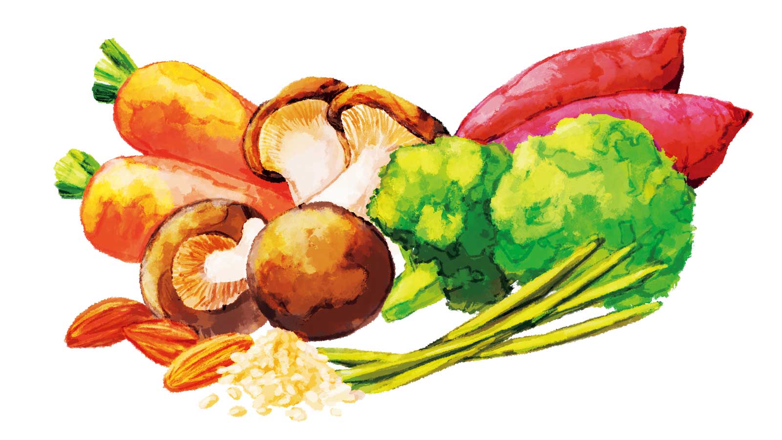 野菜、穀類、乾物の食物繊維