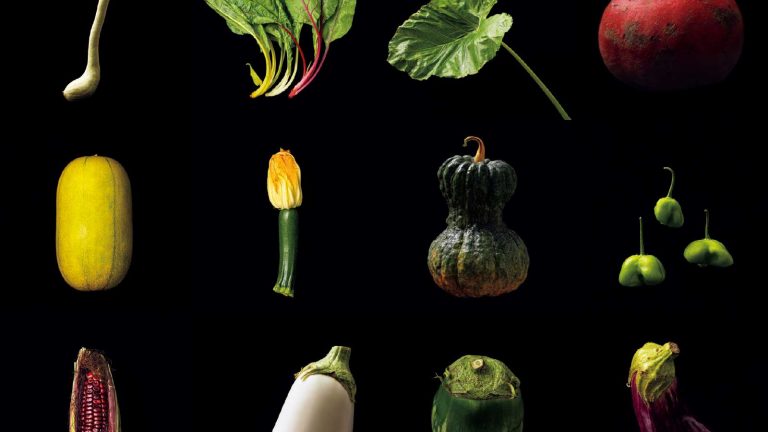 美しい“マニア野菜”の世界