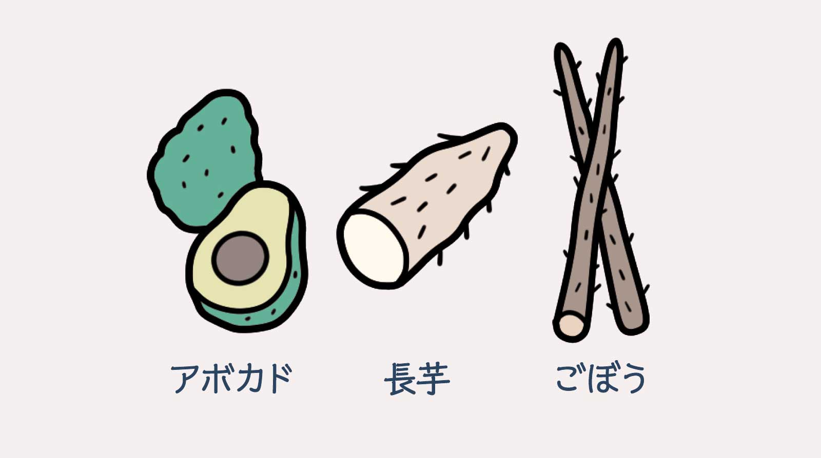 水溶性食物繊維を含む食べ物：アボカオ　長芋　ごぼう