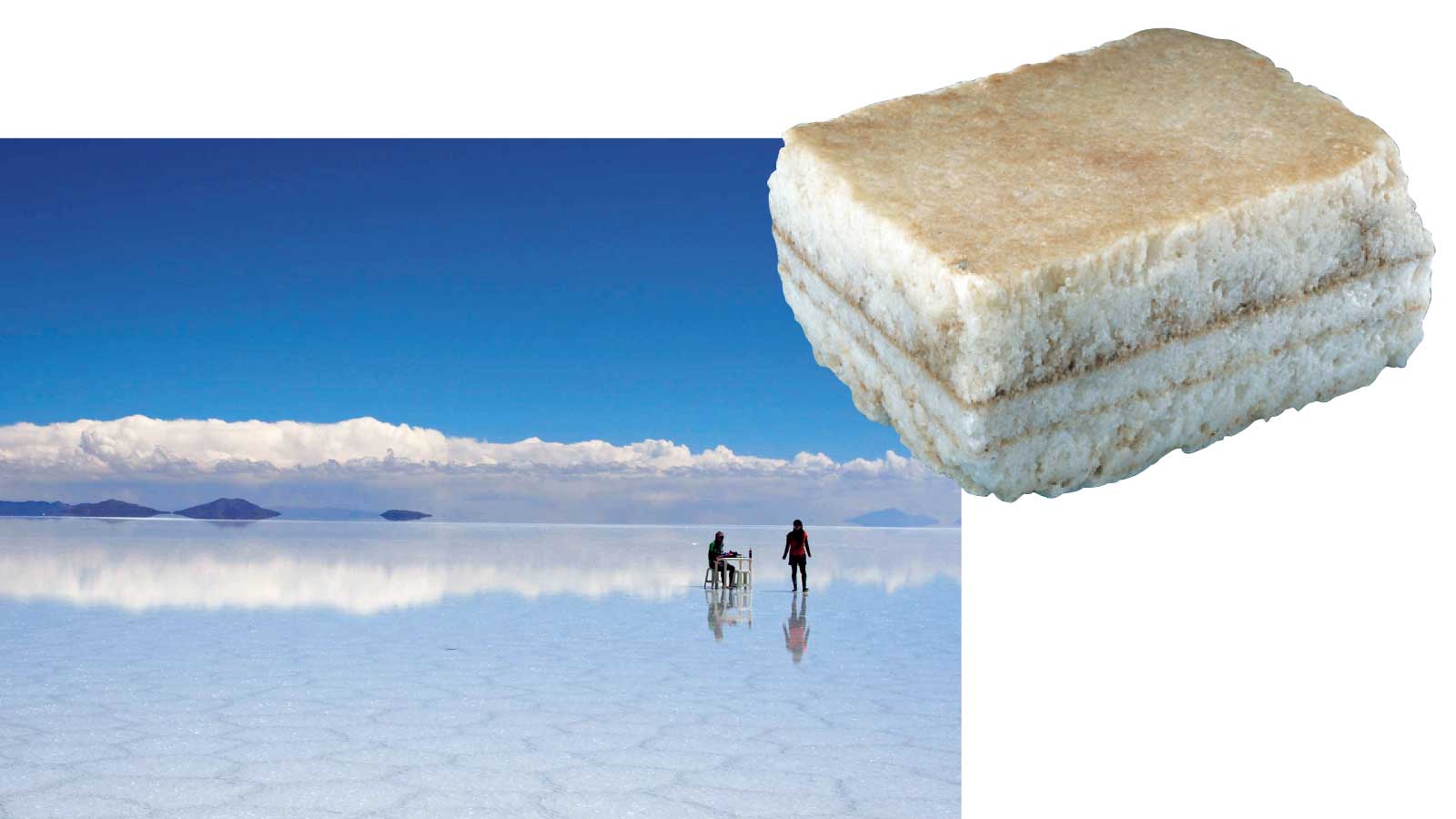塩 トリビア 湖塩