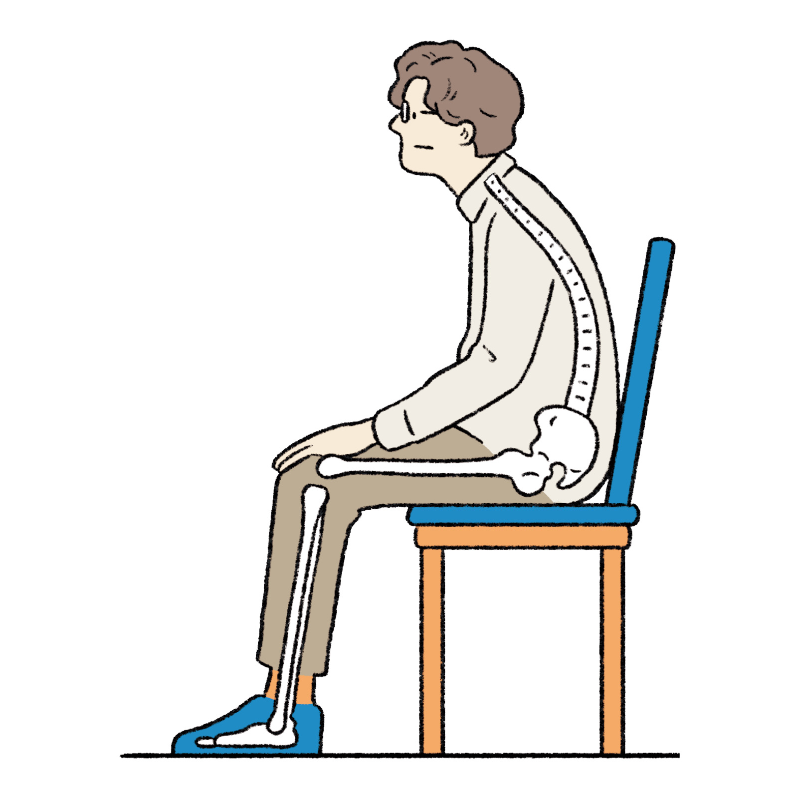 坐骨で坐った理想の姿勢 NG 骨盤が後傾しすぎる（お尻の穴が前を向く傾き）