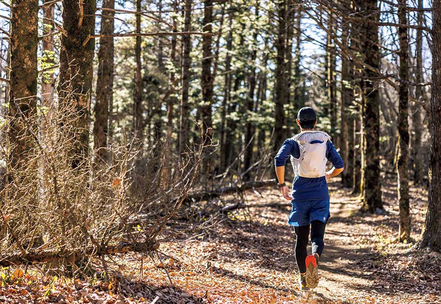 御坂山地トレイルを走る男性の後姿